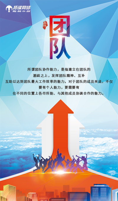 拓谋网络