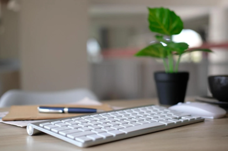 网站建设结构要合理